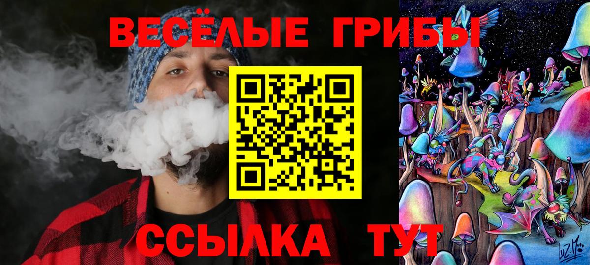 Псилоцибиновые грибы мухоморы Биробиджан