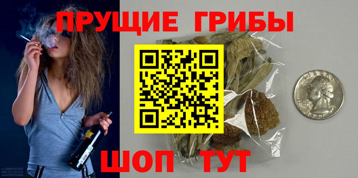 Галлюциногенные грибы Cubensis  Вход с VPN  Биробиджан 